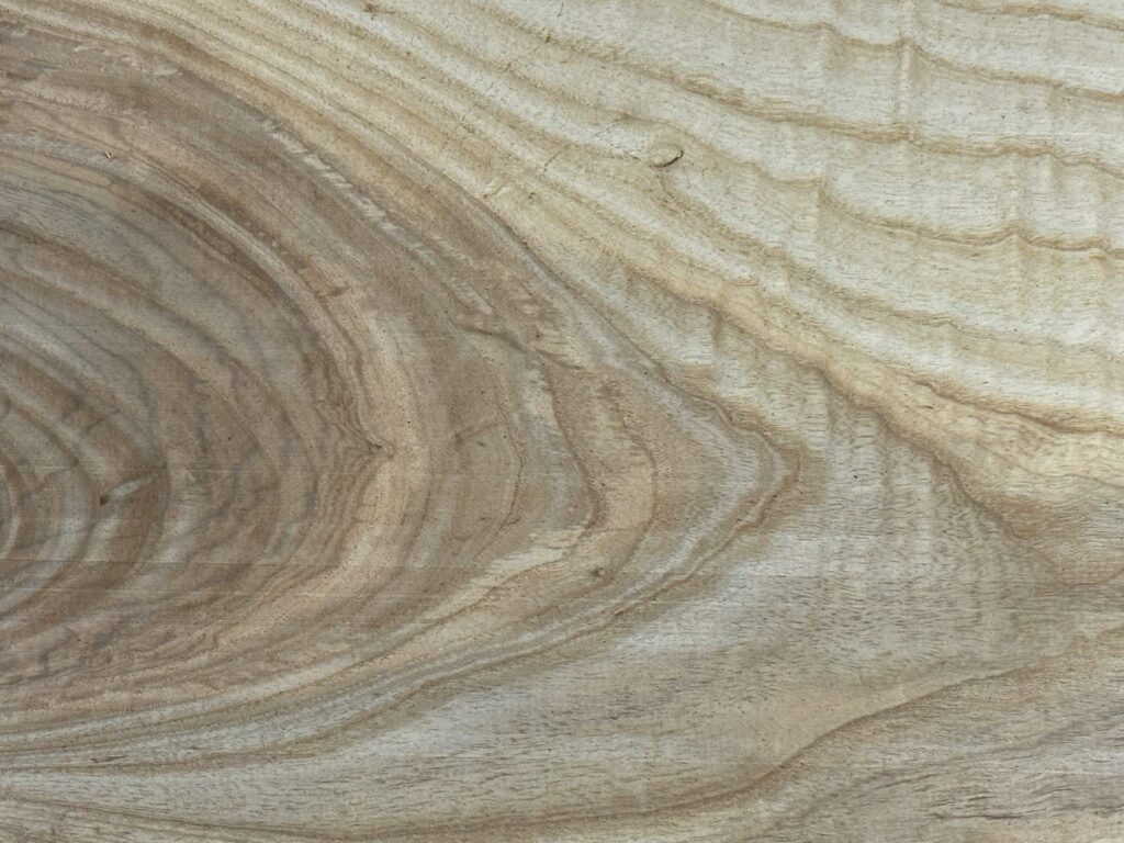 Birch vs Maple flooring