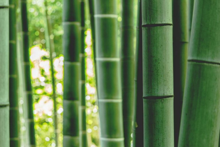 is bamboo flooring waterproof