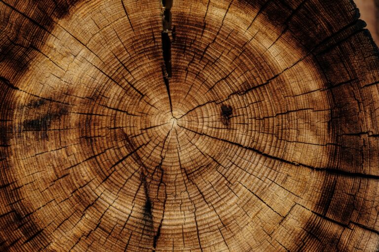 Is Teak Flooring Waterproof?