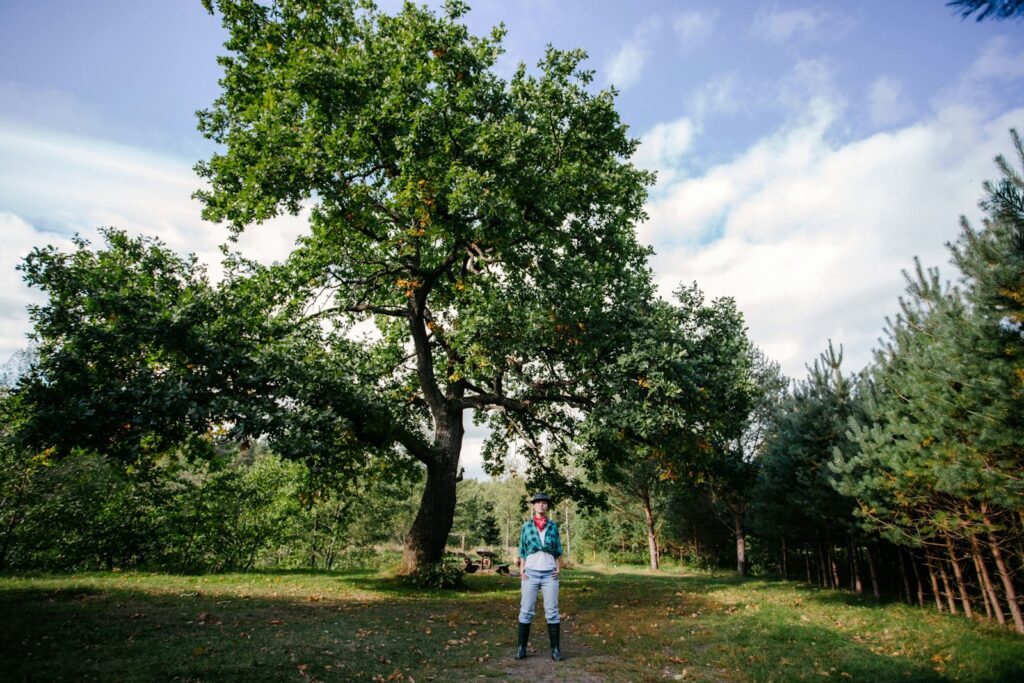 read oak vs white oak