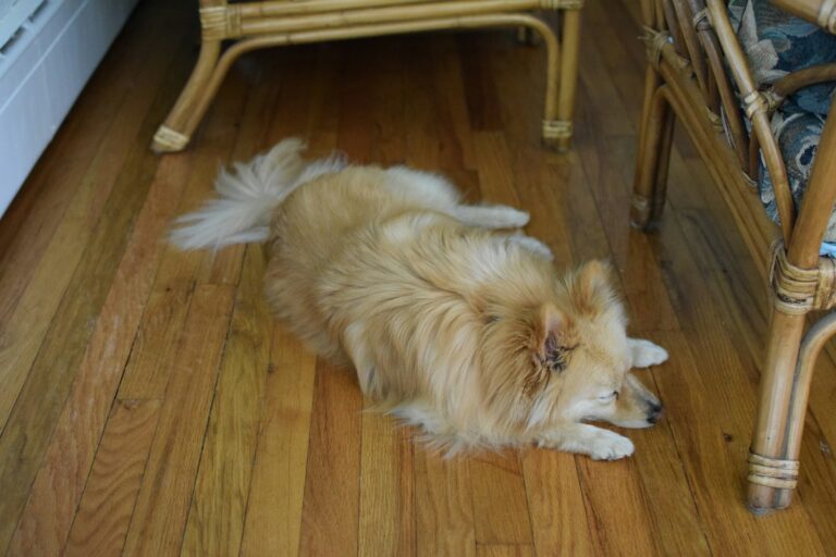 Prefinished vs Unfinished Hardwood Flooring?