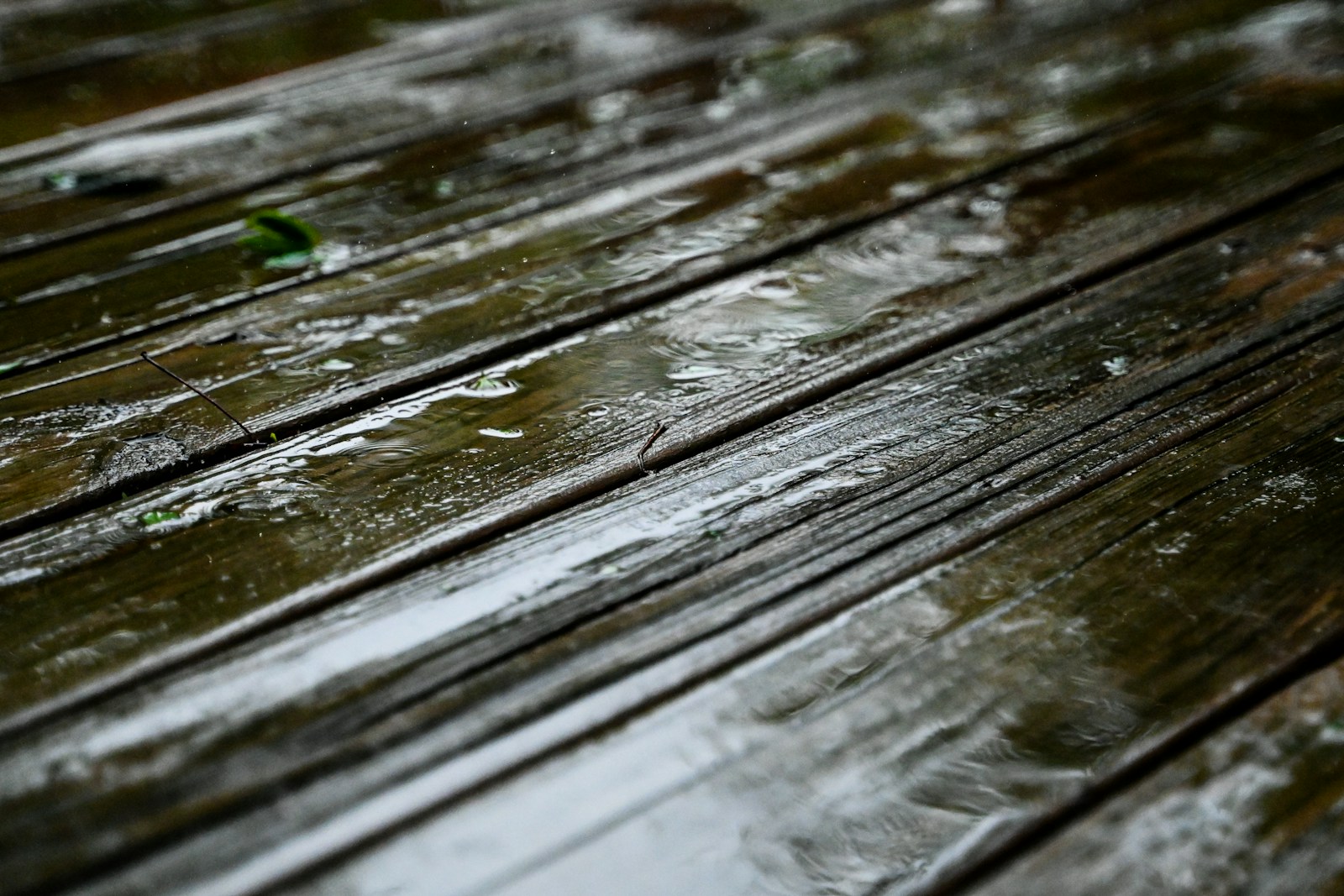 Solid vs engineered hardwood flooring