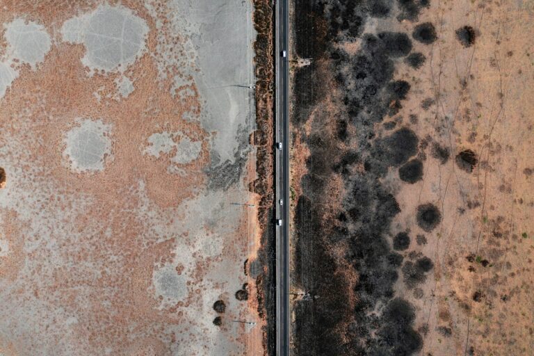 What kills mold on vinyl flooring