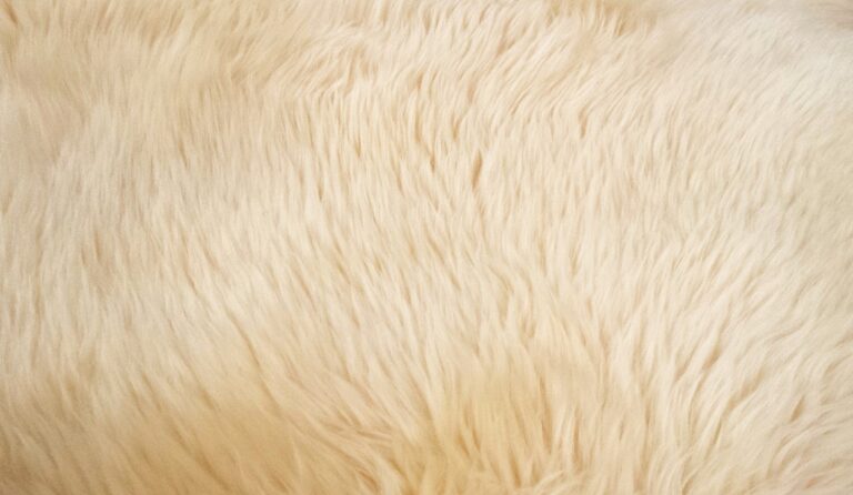 What Type of Carpet Is Best for Stairs